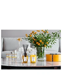 Insieme Room Diffuser