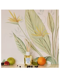 Blu Mediterraneo Arancia di Capri Room Diffuser