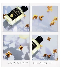 Osmanthus Eau De Parfum