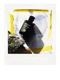 Quercia Eau De Parfum