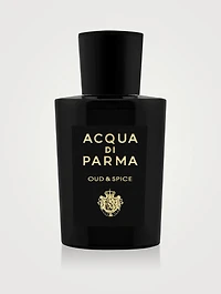 Signatures Of The Sun Oud & Spice Eau De Parfum