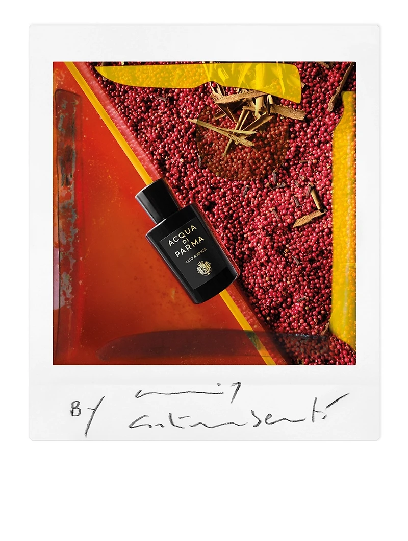 Signatures Of The Sun Oud & Spice Eau De Parfum