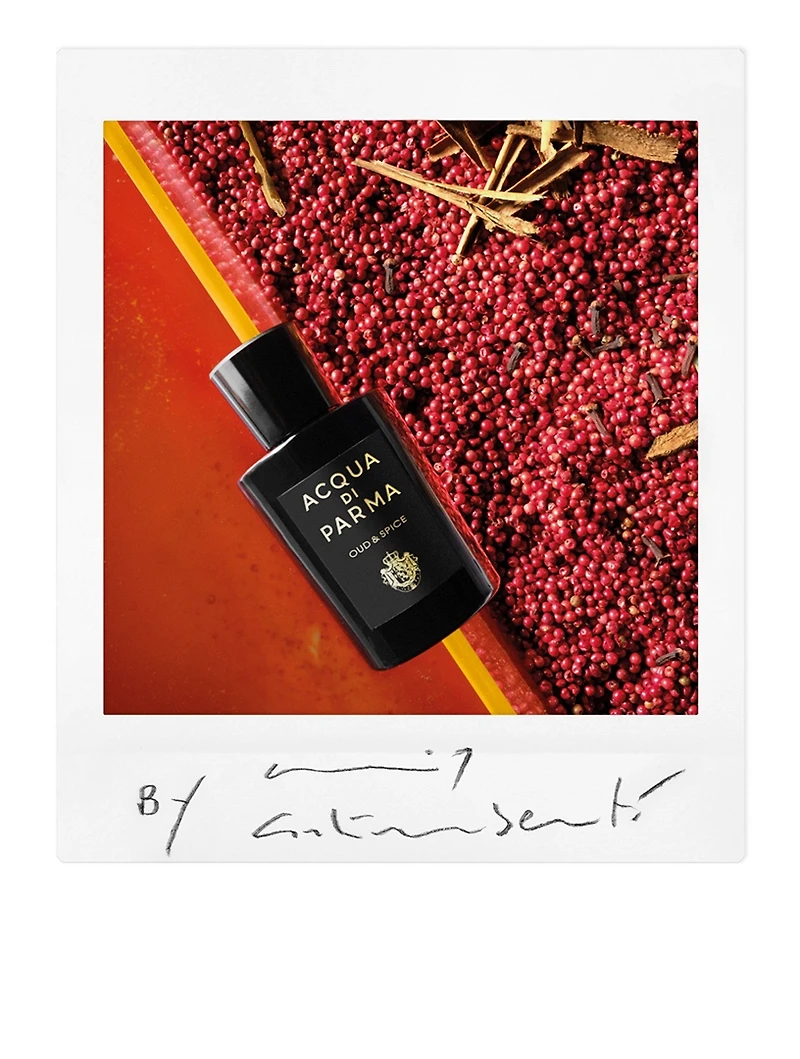Signatures Of The Sun Oud & Spice Eau De Parfum