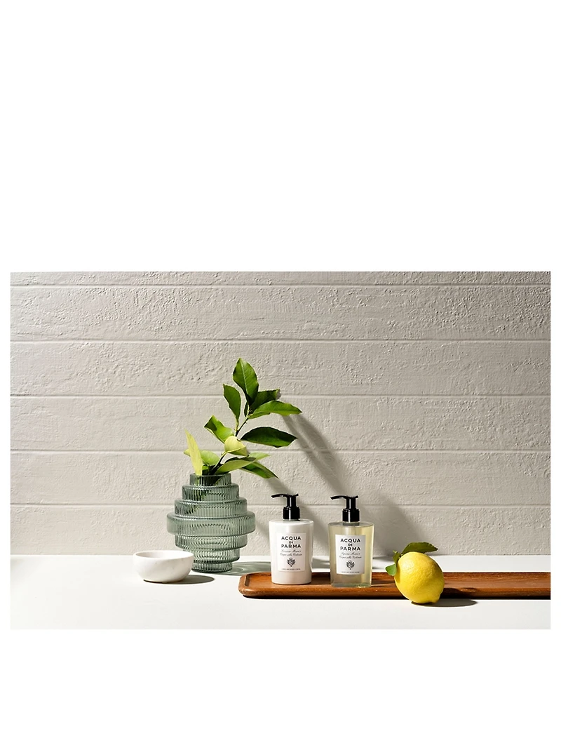 Colonia Hand & Body Lotion