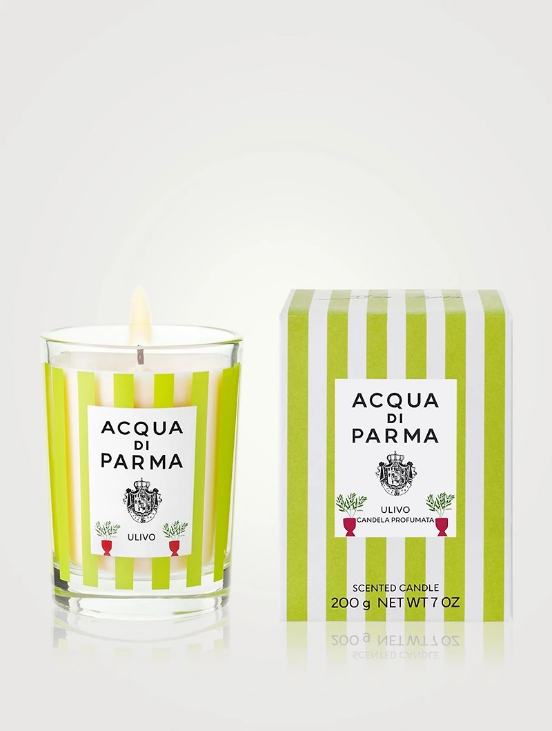 Ulivo Candle