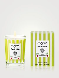 Ulivo Candle