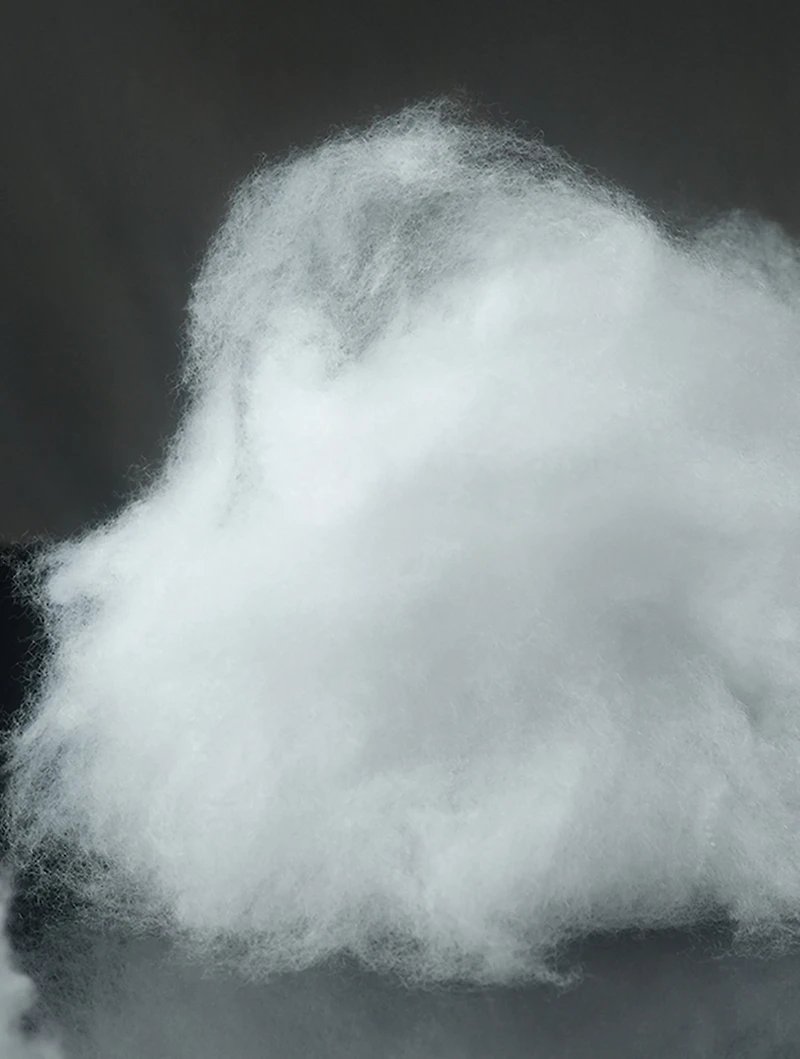 Fefé Dog Mist