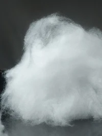 Fefé Dog Mist