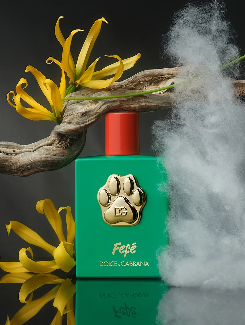 Fefé Dog Mist