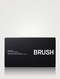 Fan Brush