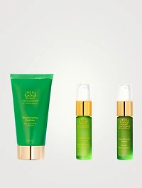 Spring Reset Kit