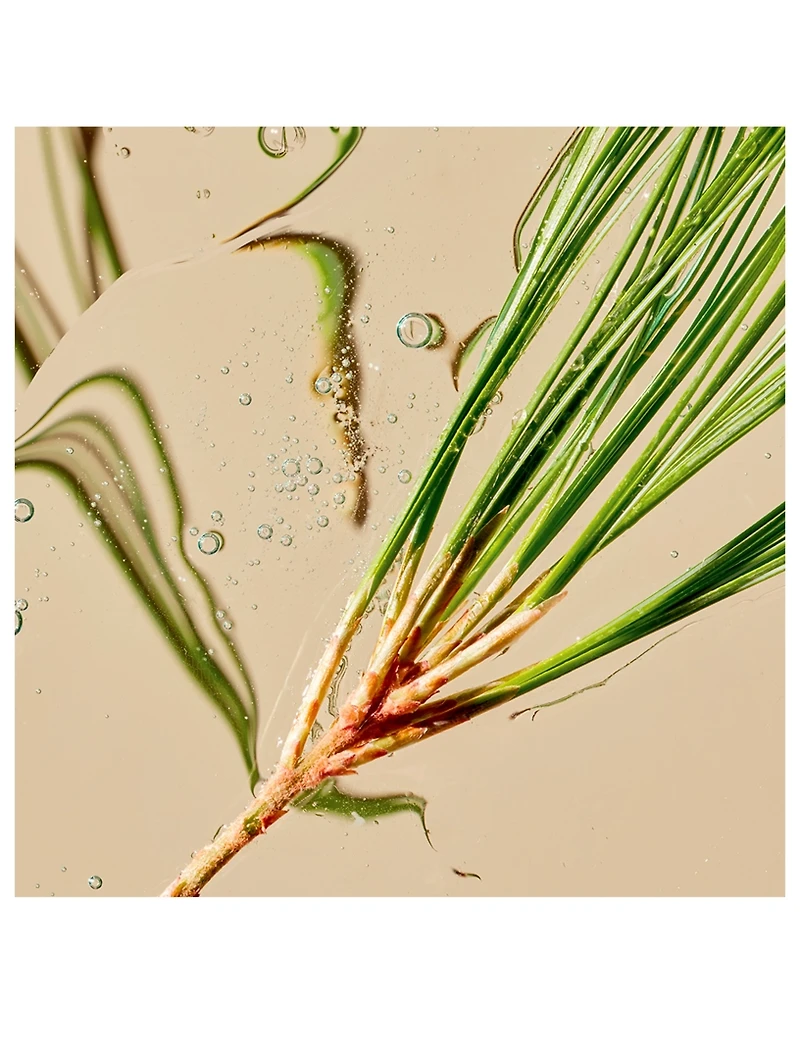 Refining Cleanser