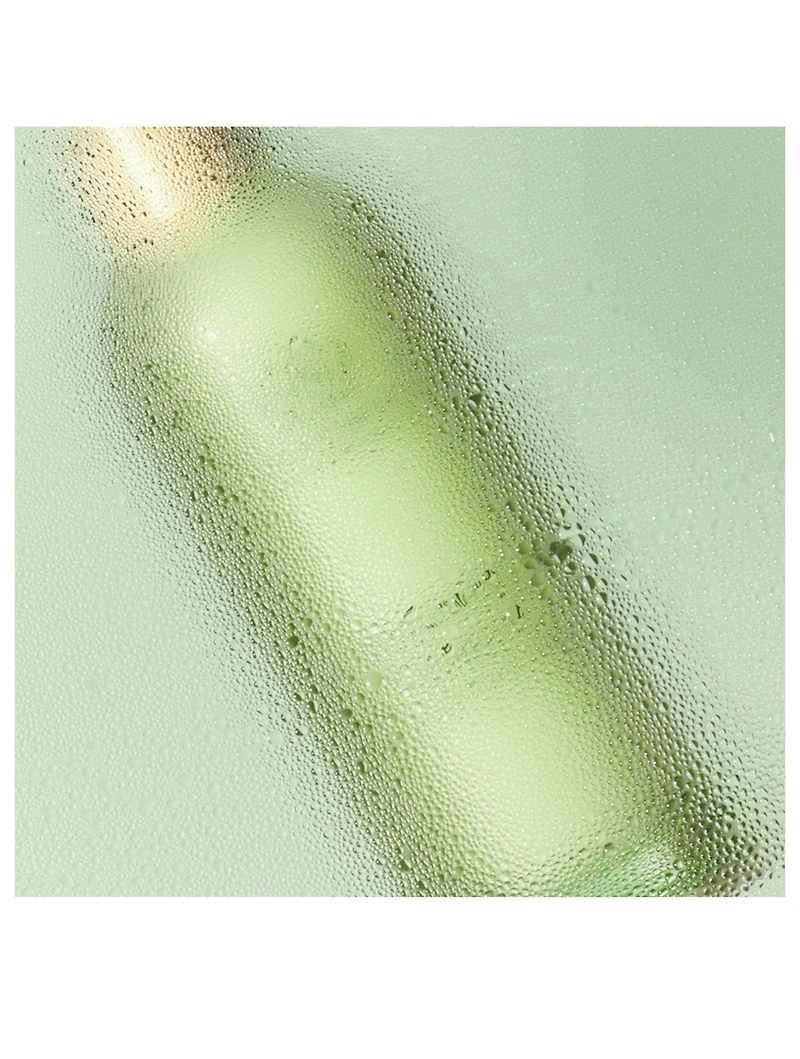 Refining Cleanser