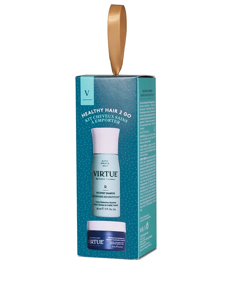 Healthy Hair 2 Go Recovery Shampoo Gift Set