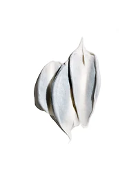 Silverati Illuminating Treatment Masque