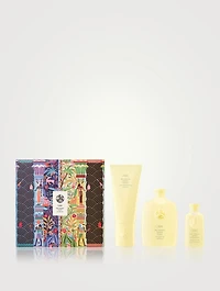 Hair Alchemy Collection