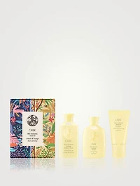Hair Alchemy Travel Set
