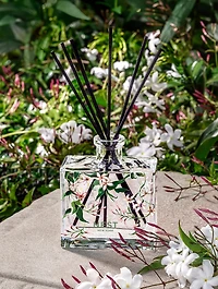 Indian Jasmine Decorative Reed Diffuser