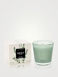 Wild Mint & Eucalyptus Classic Candle