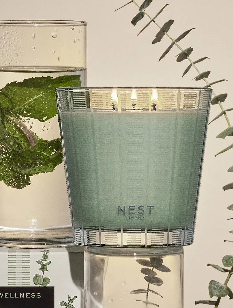 Wild Mint & Eucalyptus Classic Candle