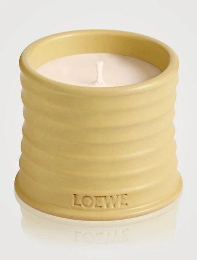 Honeysuckle Candle