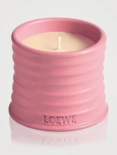 Ivy Candle