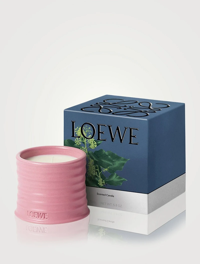 Ivy Candle
