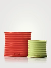 Tomato Leaves Candle