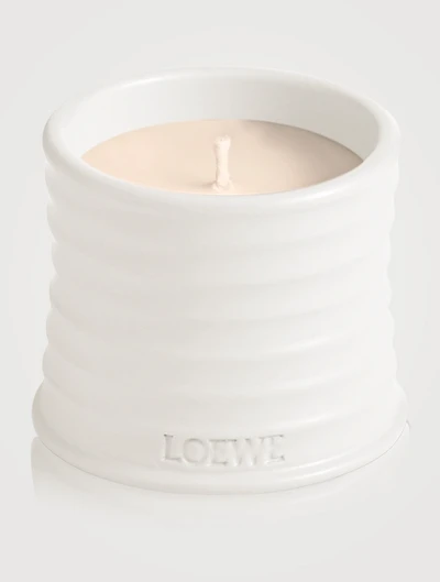 Oregano Candle