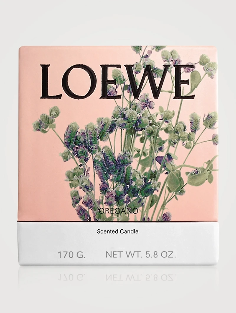 Oregano Candle