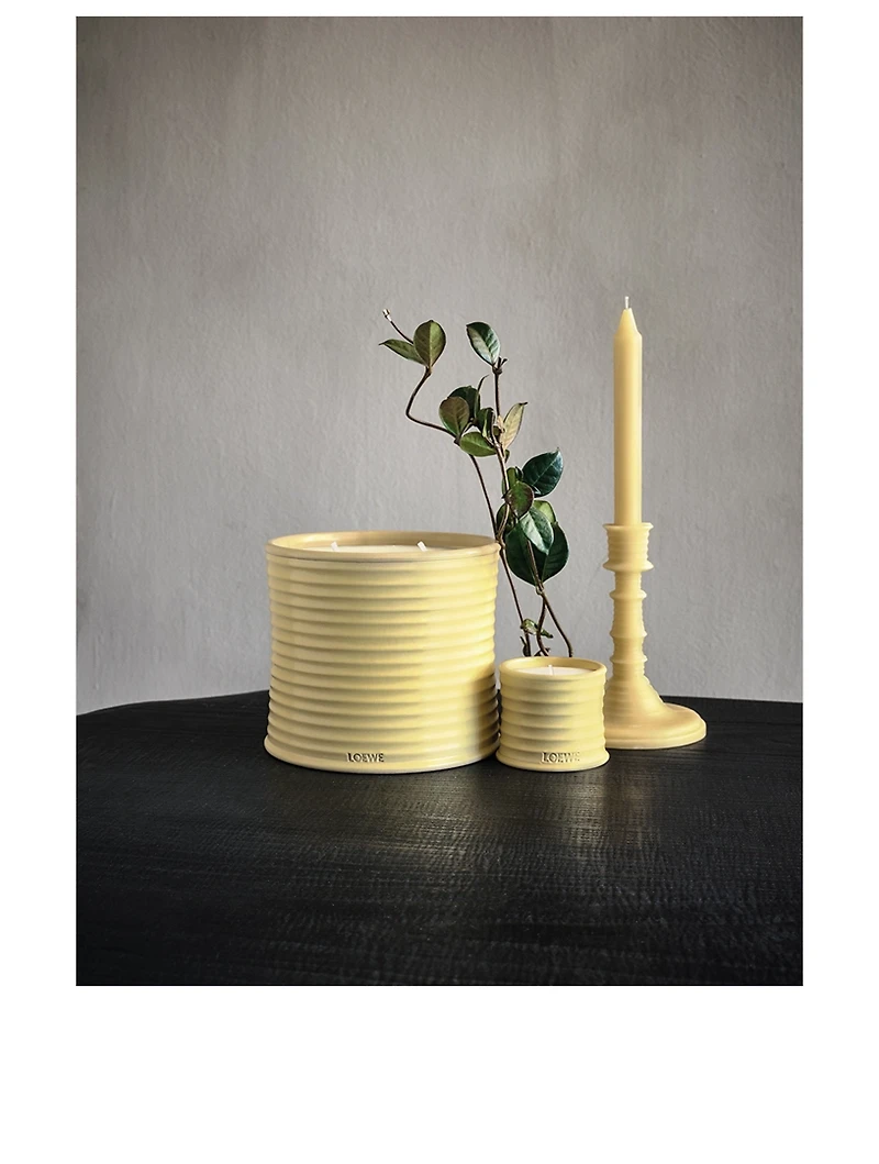 Honeysuckle Wax Candleholder