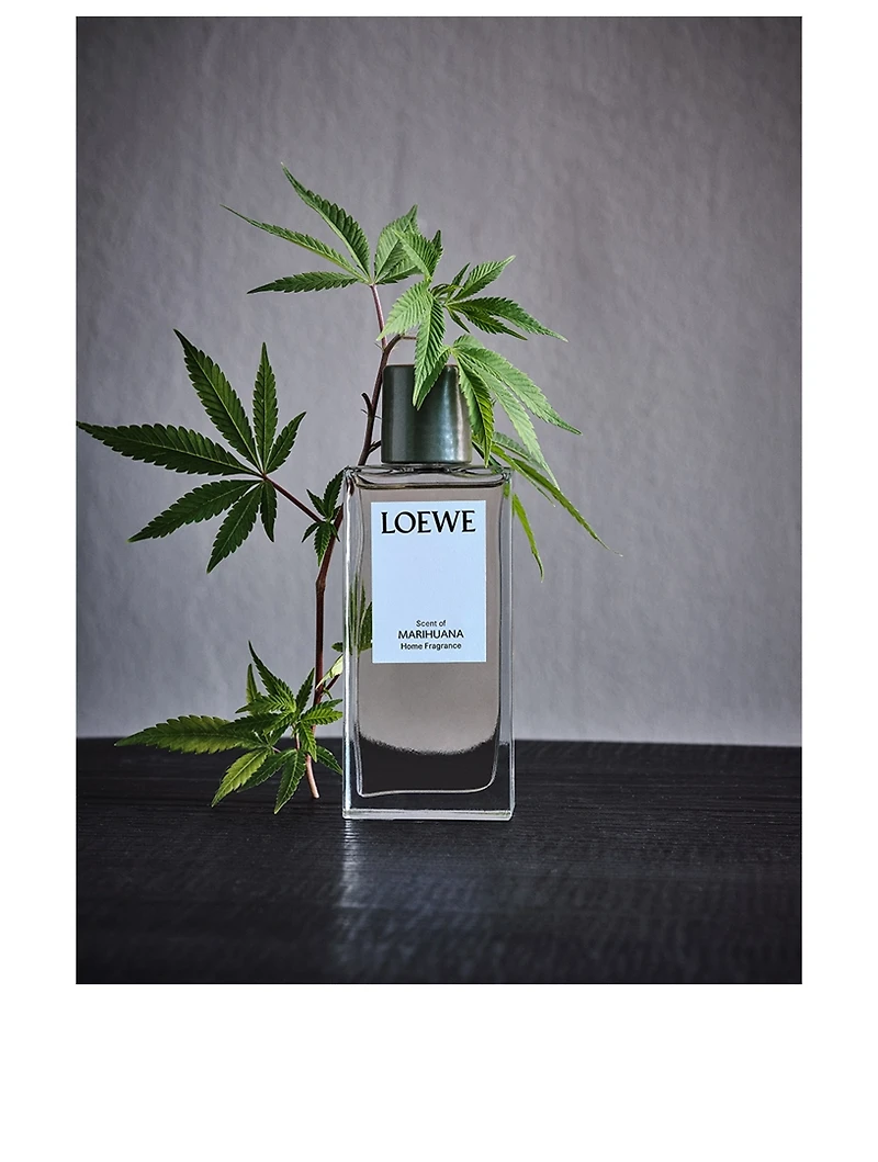 Scent of Marihuana Home Fragrance