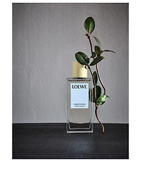 Honeysuckle Home Fragrance