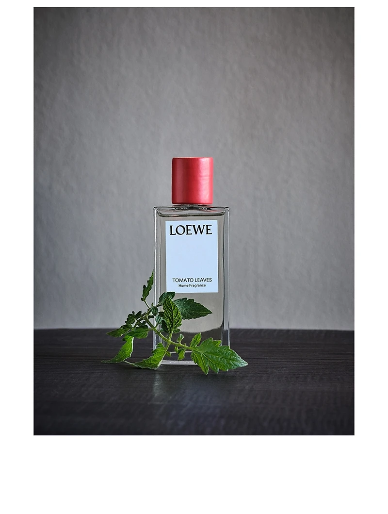 Tomato Leaves Home Fragrance