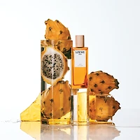 Solo Ella Eau de Toilette