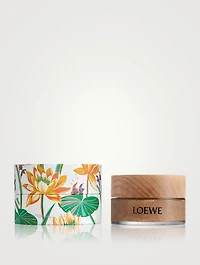 Paula’s Ibiza Eclectic Body Scrub