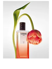 Solo Ella Elixir Eau de Parfum