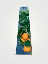 Orange Blossom Wax Candleholder
