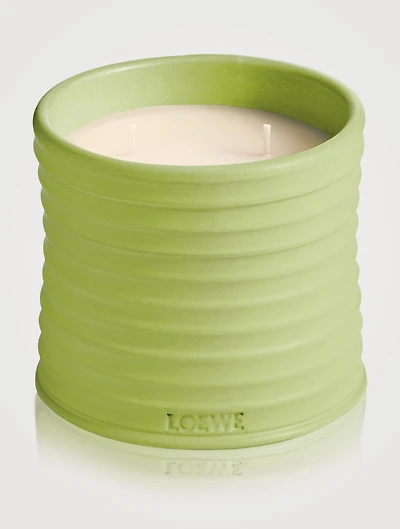Cucumber Candle