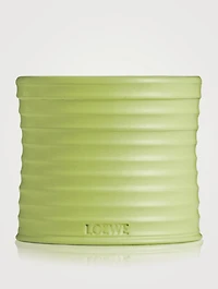 Cucumber Candle