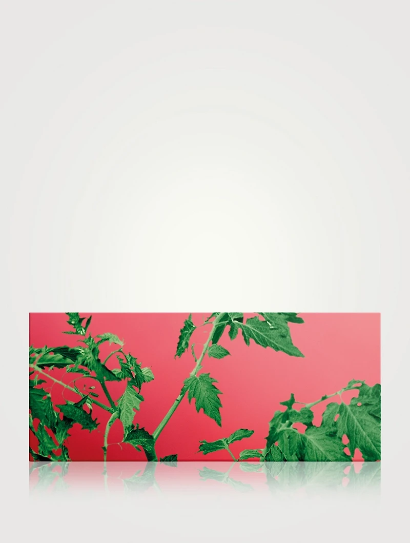 Tomato Leaves Solid Soap