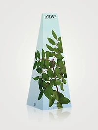 Incense Wax Candleholder
