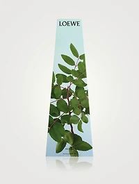 Incense Wax Candleholder