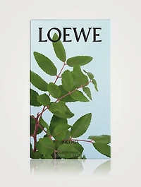 Incense Home Fragrance