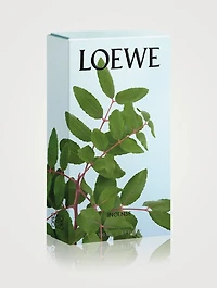 Incense Home Fragrance