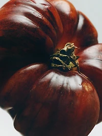Tomato Leaves Hand Cleanser