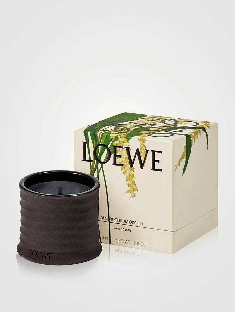 Dendrochilum Candle