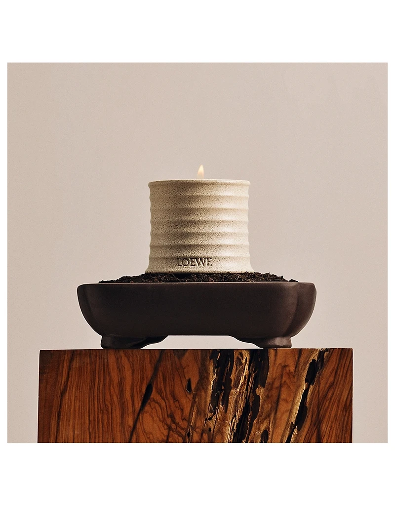 Polianthes Candle