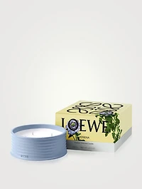 Verbena Outdoor Candle