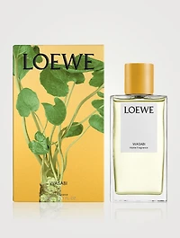 Wasabi Home Fragrance